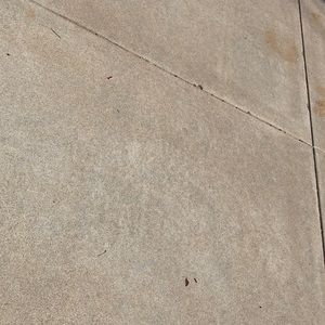 Meet your Posher, Paige